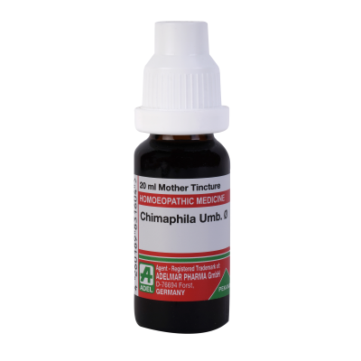 Chimaphila Umbellata 1X (Q) (20ml)